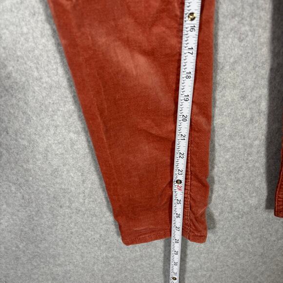 Loft Pants Womens 2 Orange Coral Velvet Soft Academia Career Office Quiet Luxury - Picture 6 of 10